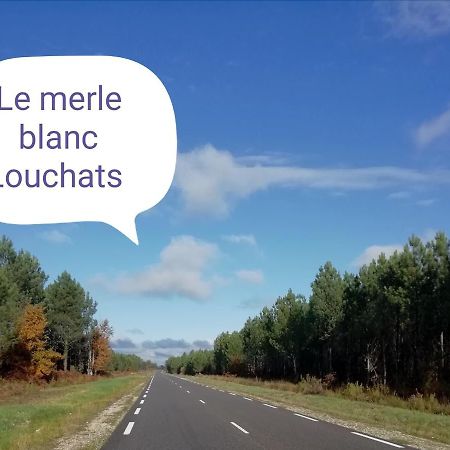 فندق Le Merle Blanc Louchats المظهر الخارجي الصورة