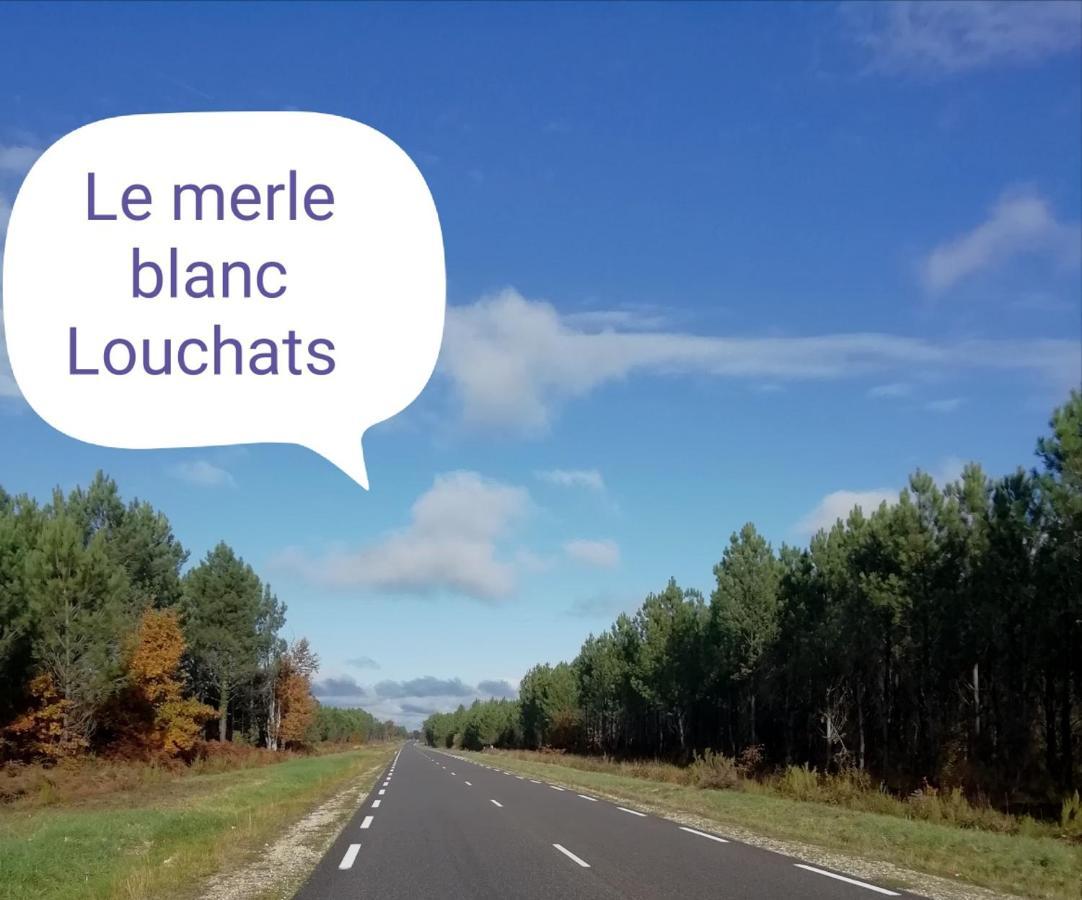 فندق Le Merle Blanc Louchats المظهر الخارجي الصورة