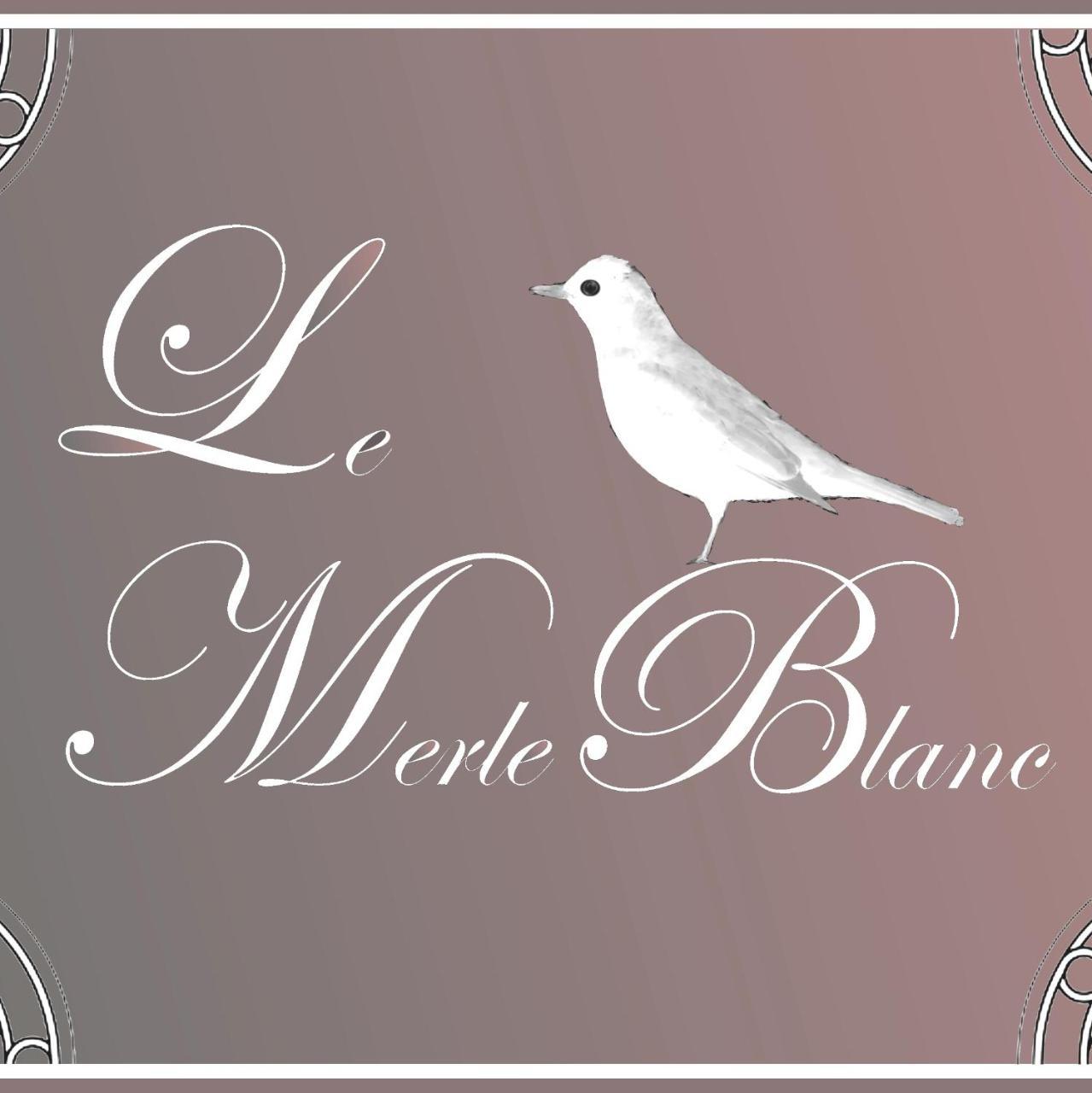 فندق Le Merle Blanc Louchats المظهر الخارجي الصورة